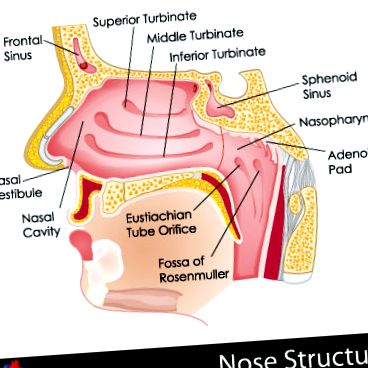 A fej és a nyak daganatai - okok és tünetek