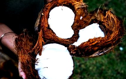 кокосовото