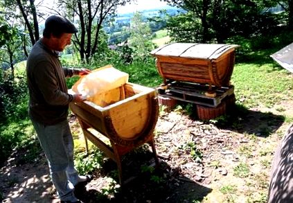 apicultorul