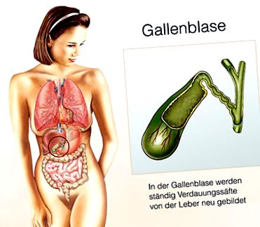 giardia intestinalis leczenie a giardiasis és más paraziták kezelése