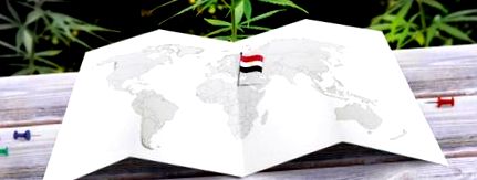 Марихуана египет передоз удобрениями марихуаны