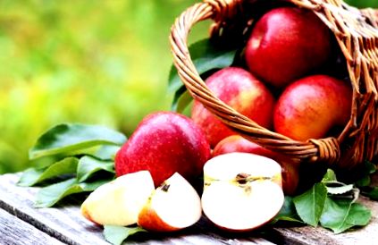 szív egészsége almaszósz