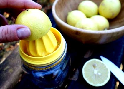 лимонова