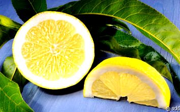 citrom cukorbetegség kezelésének