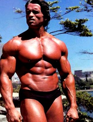 Arnold Schwarzenegger edzésterv; Tippek a legendából