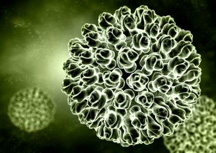 Mennyi daganatot váltanak ki a krónikus fertőzések? | negerove.lt