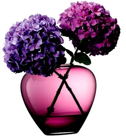 ваза цветя