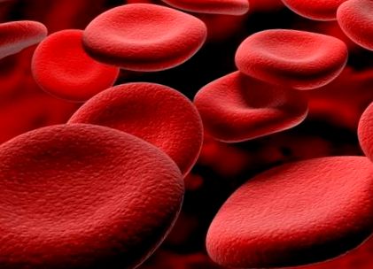 červených krviniek