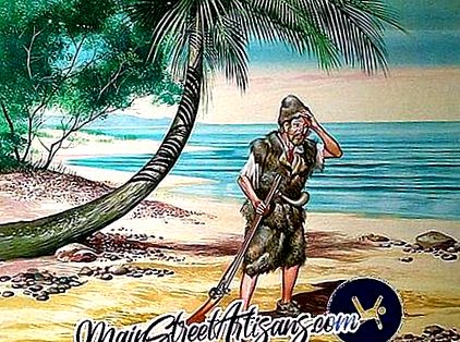 unearth Alleviation Sandy Câți ani a petrecut Robinson Crusoe pe insulă Rezumatul romanului -  Literatura 2020
