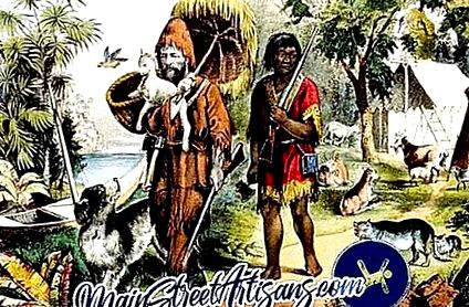 unearth Alleviation Sandy Câți ani a petrecut Robinson Crusoe pe insulă Rezumatul romanului -  Literatura 2020