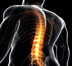 a nyaki mellkasi gerinc exacerbációja az arthrosis előfordulása