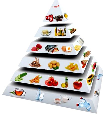 fogyás táplálkozási piramis