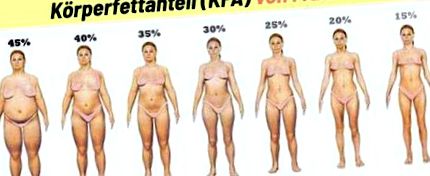 testzsír százalék csökkenése