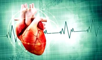 gyerekek egészsége, hogyan működik a test szív