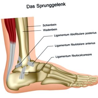 az alsó lábszár a bokaízület és a láb károsodása