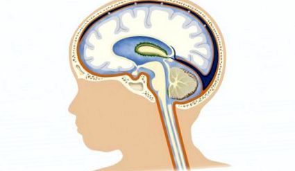 mozgovomiechového moku