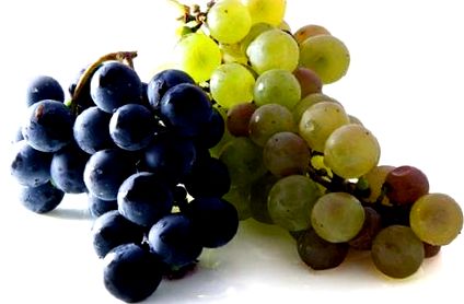 szőlő kalória