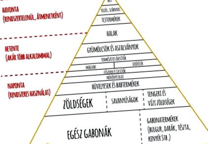 макробіотики