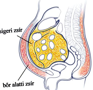 bărbătesc