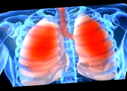 Белите дробове на пушача се прочистват - добрата новина може да изчисти  дробовете на пушача ви