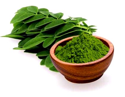 moringa