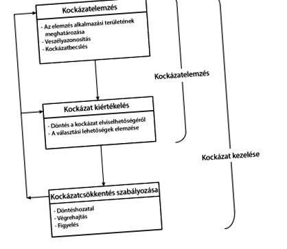 глава глава