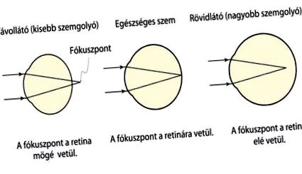 eficient