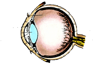 raport oftalmologic asupra iridociclitei