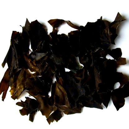 kombu