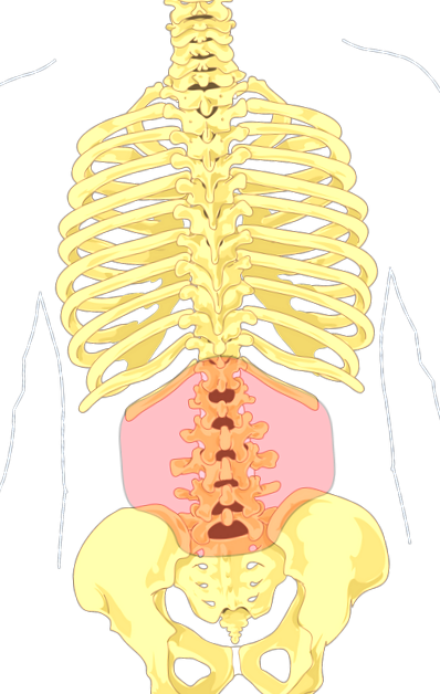 medicamentelor