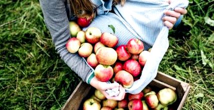 Apple almabor ecet recept a cukorbetegség számára