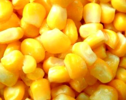 Szereted a főtt kukoricát? Nézd meg, hogyan segít a fogyásban! Vélemény