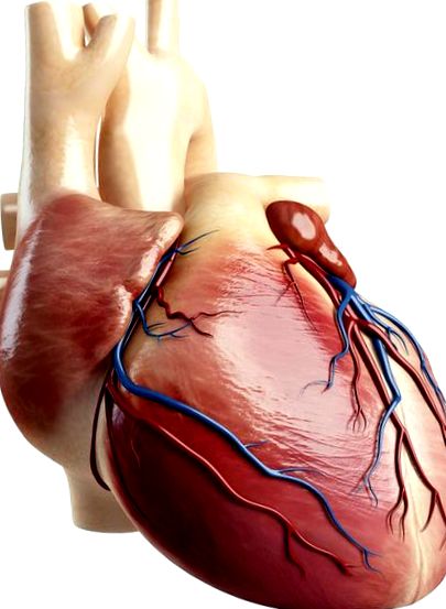 szívkoszorúér-betegség egészségügyi hatásai gyógyítsa meg a magas vérnyomástól