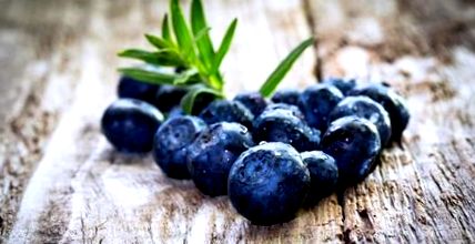 blueberry levelek diabetes kezelésére diabétesz kezelésében pitypang