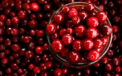 cranberries a cukorbetegség kezelésében)