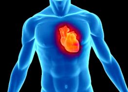 a szív egészségének monitorozása