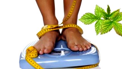 2 hét alatt mínusz 10 kiló: ez a Level diéta! | Chồng