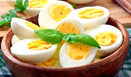 tojás diéta vélemények ápolási cél a fogyás érdekében
