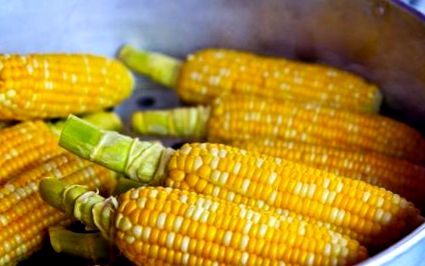 Puliszkadiéta: a kukoricadara tényleg segít a fogyásban Kukorica előnyei a fogyáshoz