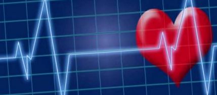 Szív és érrendszeri vérvizsgálati csomag - SpeedMedical