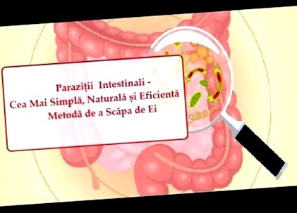 hogyan állapítják meg a férgek jelenlétét pancreatitis és paraziták kezelése