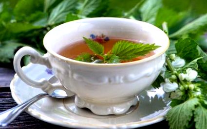 Csalán tea fogyáshoz, Ajánlott termékek
