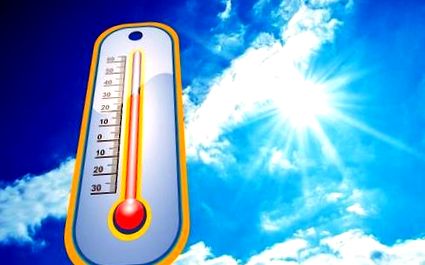 fogyás testhőmérséklet szabályozás lábak zsírvesztésének módjai