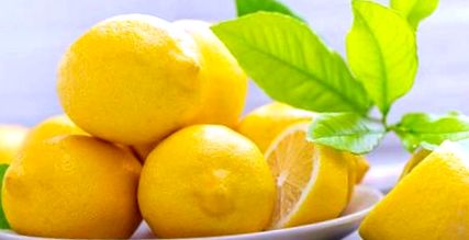 citrom diéta mennyit lehet fogyni