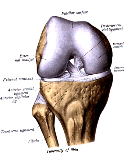 a térdízület osteochondrosisának kezelése kenőcs a lábak ízületeinek reumájára