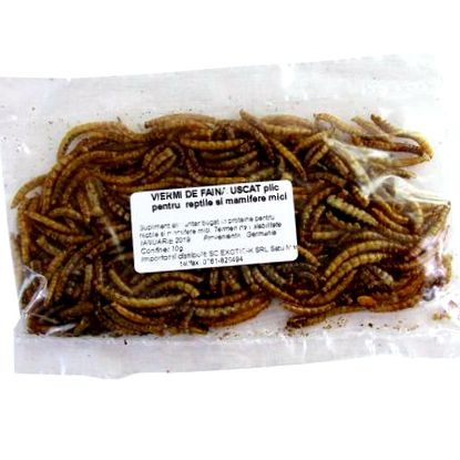 Pinworm kezelés dózisa, Enterobiasis (pinworms) - Egészség