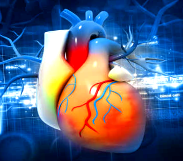 szív egészségügyi tényezők