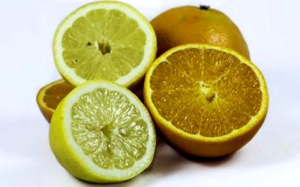 nyirok méregtelenítés citrusokkal