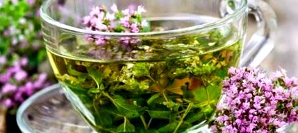 Zsírolvasztó gyógynövények- ezek segíthetik a fogyást Vélemények a gyógynövényes fogyókúrás teáról