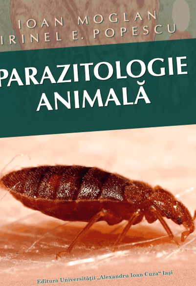 vérszegénység parazitákkal a paraziták hatása az emlékezetre